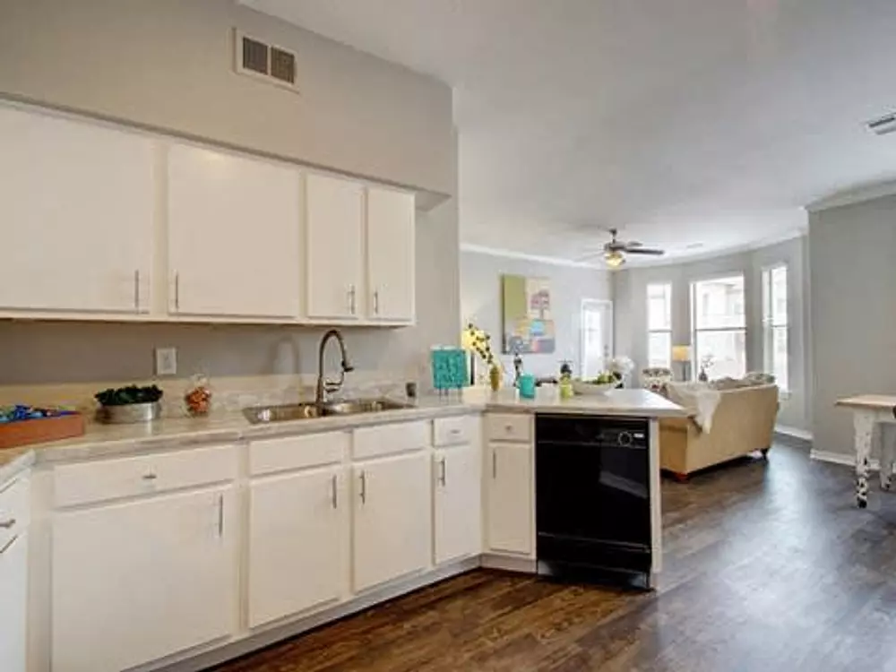 Collier apartments in Austin TX, photo 1