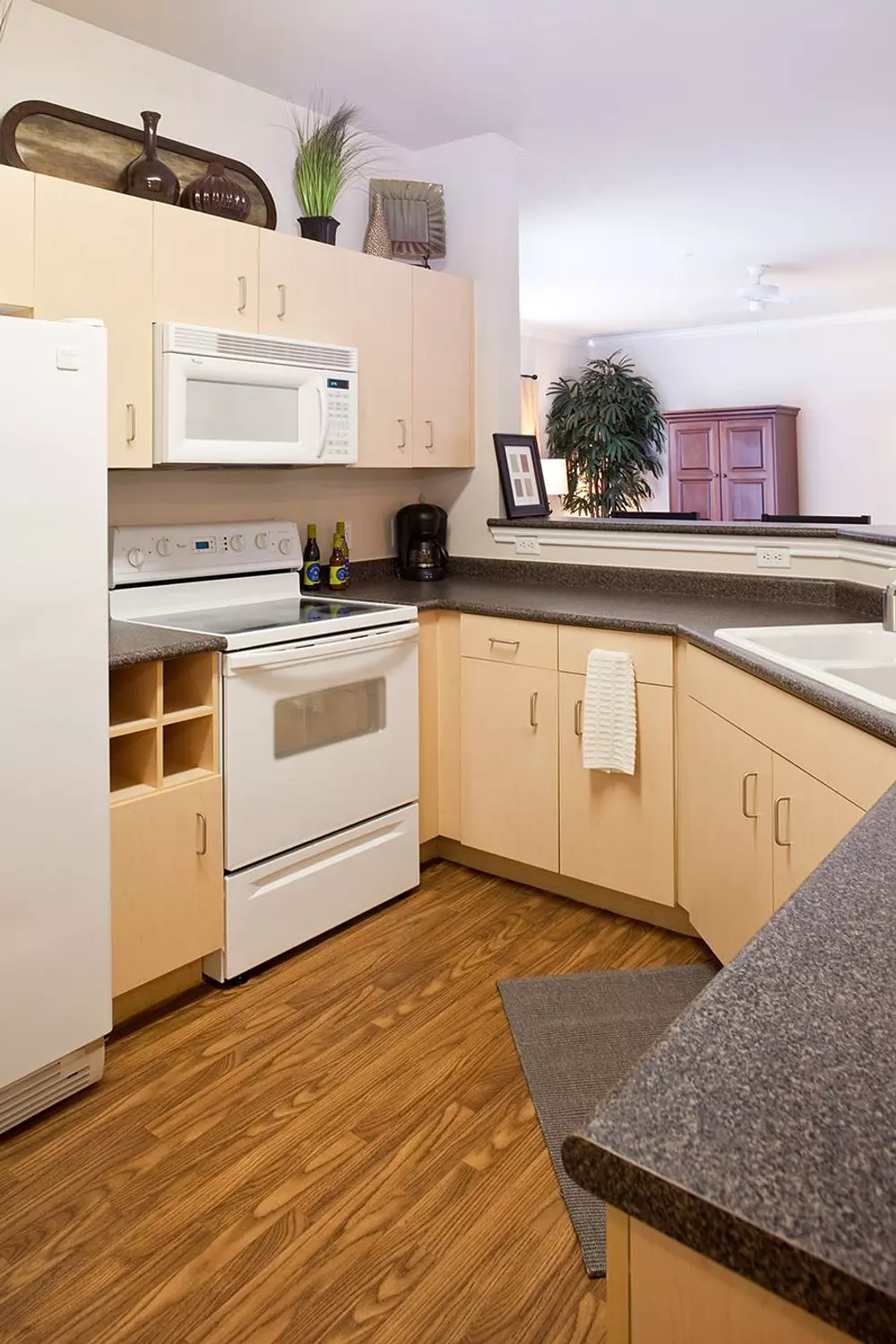 Ridgeview apartments in Austin TX, photo 1