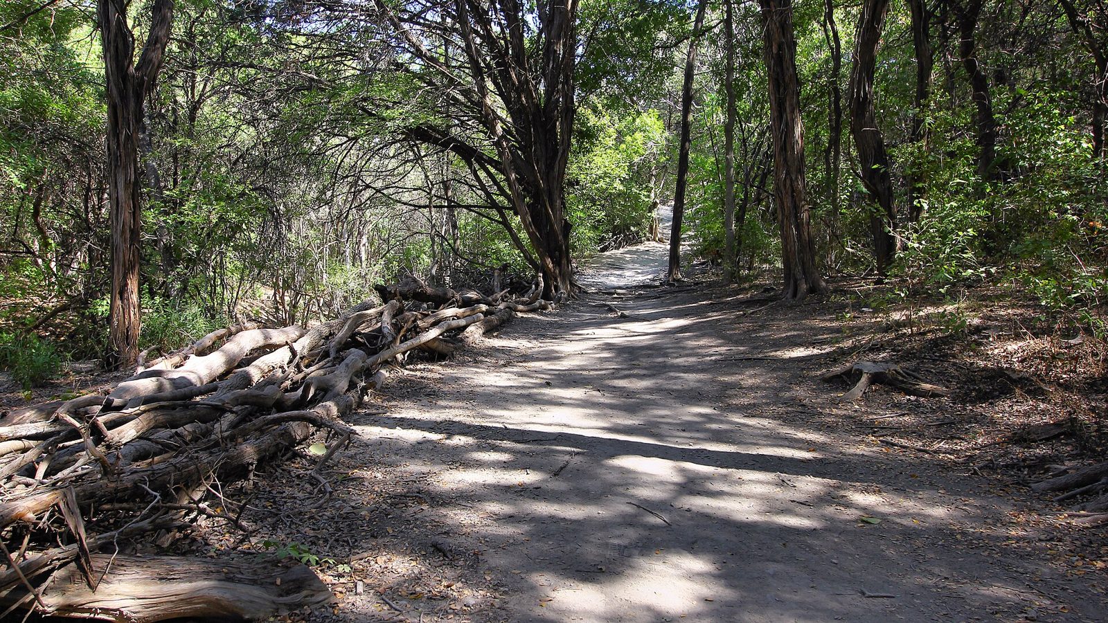 A shaded trail in Walnut Creek Metropolitan Park in North Austin