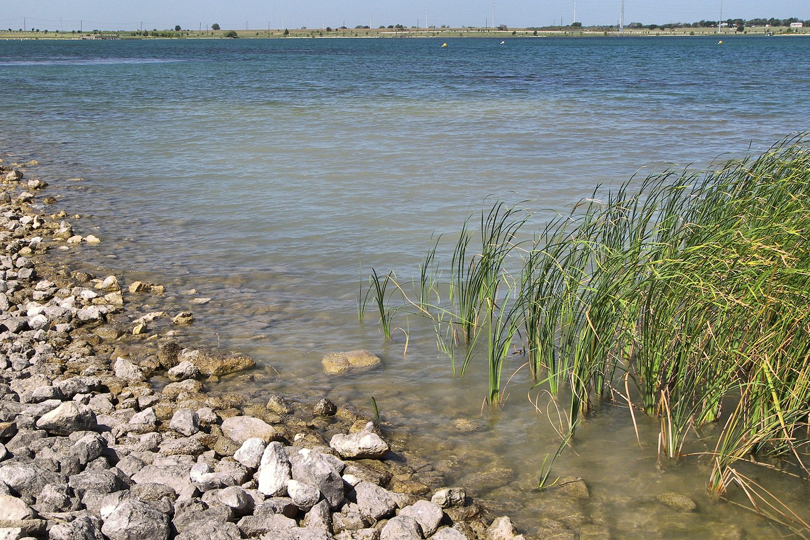The shoreline of Lake Pflugerville in Pflugerville, Texas